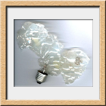 Buffone, Silviana - 2004 Foco desplegado