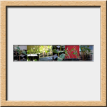 Orta Ver�nica - 19 x 92 cms 2009